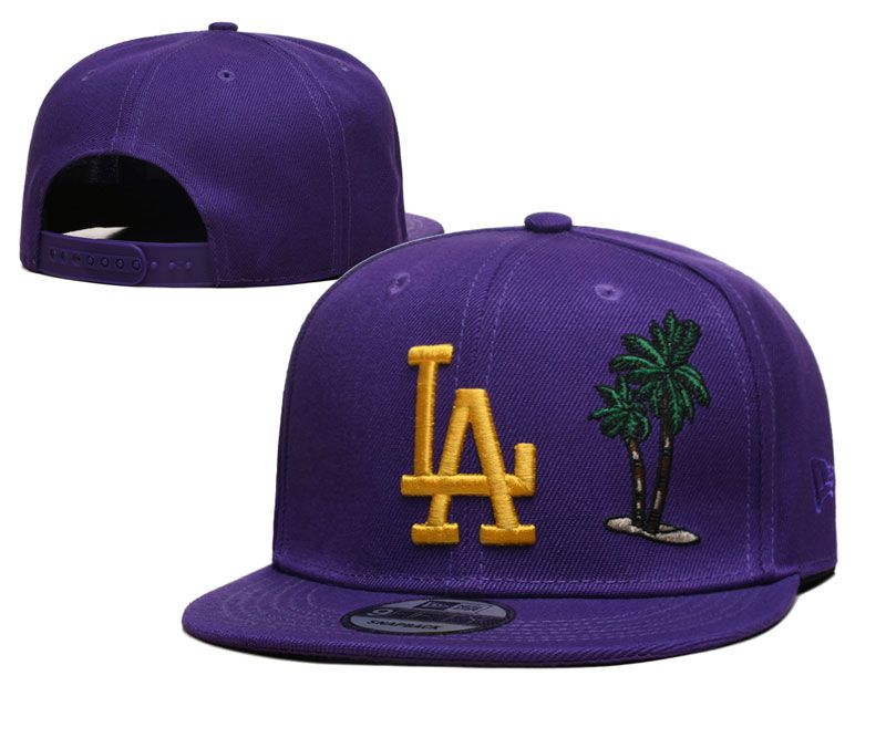 2023 MLB Los Angeles Dodgers Hat TX 202306267